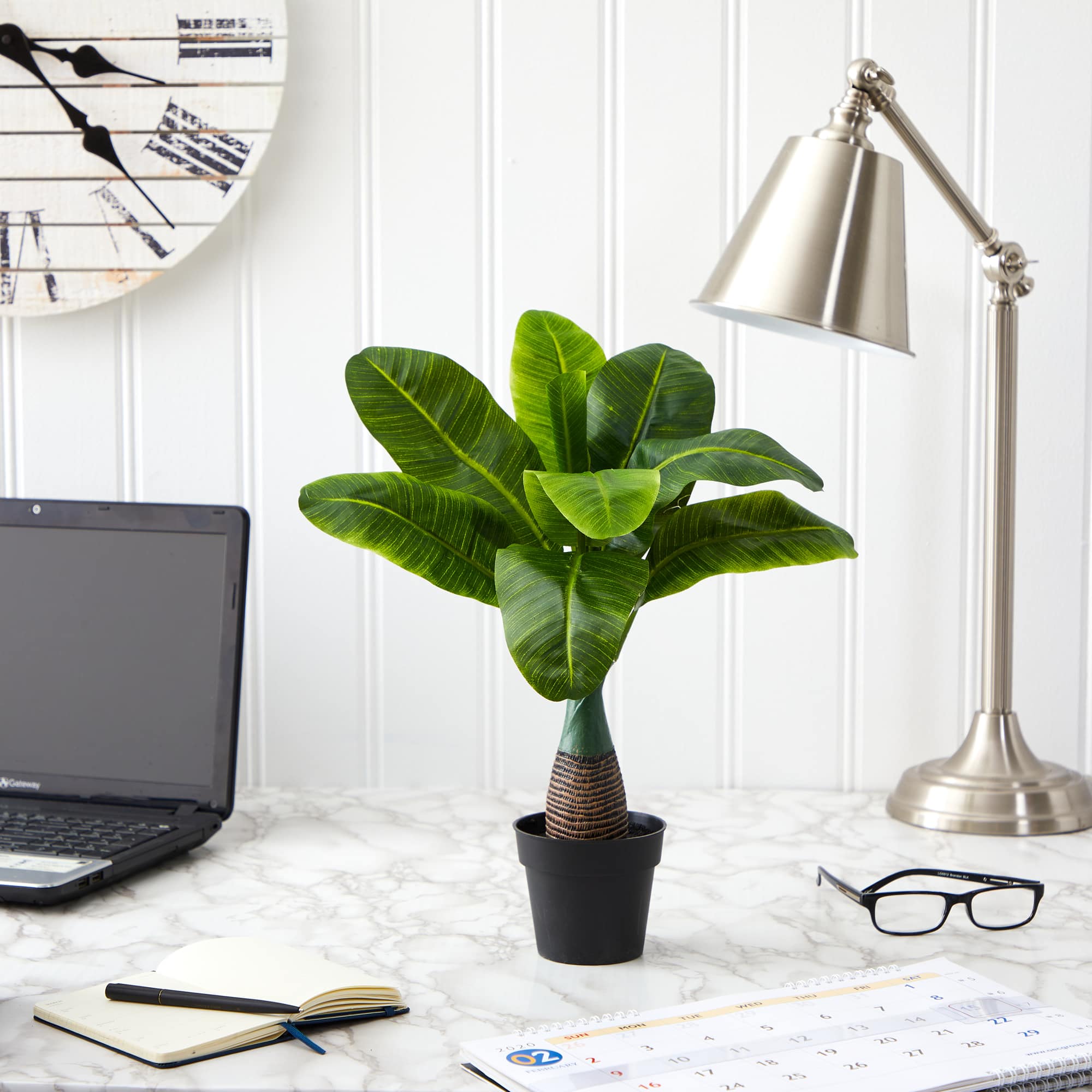 16" Potted Mini Banana Plant